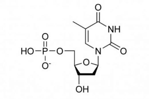 Potasyum Nitrat Formülü
